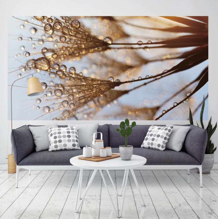 Фотопанно DECOCODE (Россия)